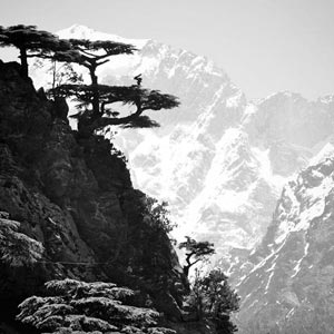 Honeymoon Package for Kinnaur