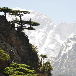 Honeymoon Package for Kinnaur